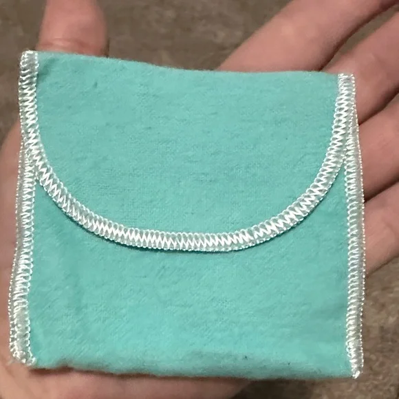 Tiffany & Co. Turquoise Pouch Collection - Picture 10 of 16